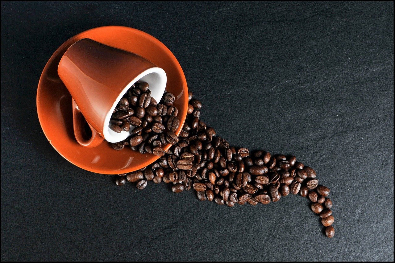 Macchiato vs Mocha vs Cappuccino vs Latte – Know the Difference